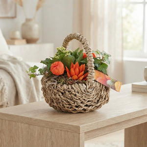Orange Indoor Hanging Plant Arrangement – 24cm Pot