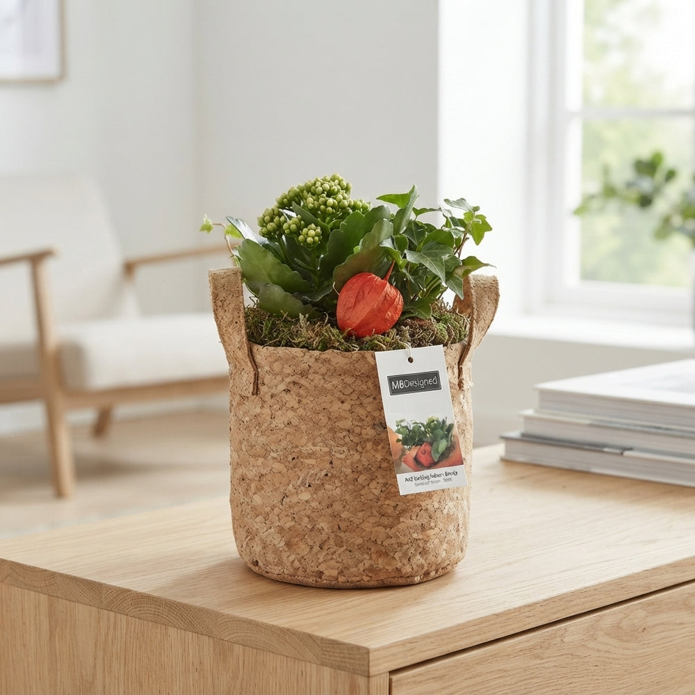 Orange Indoor Arrangement – 18cm Pot