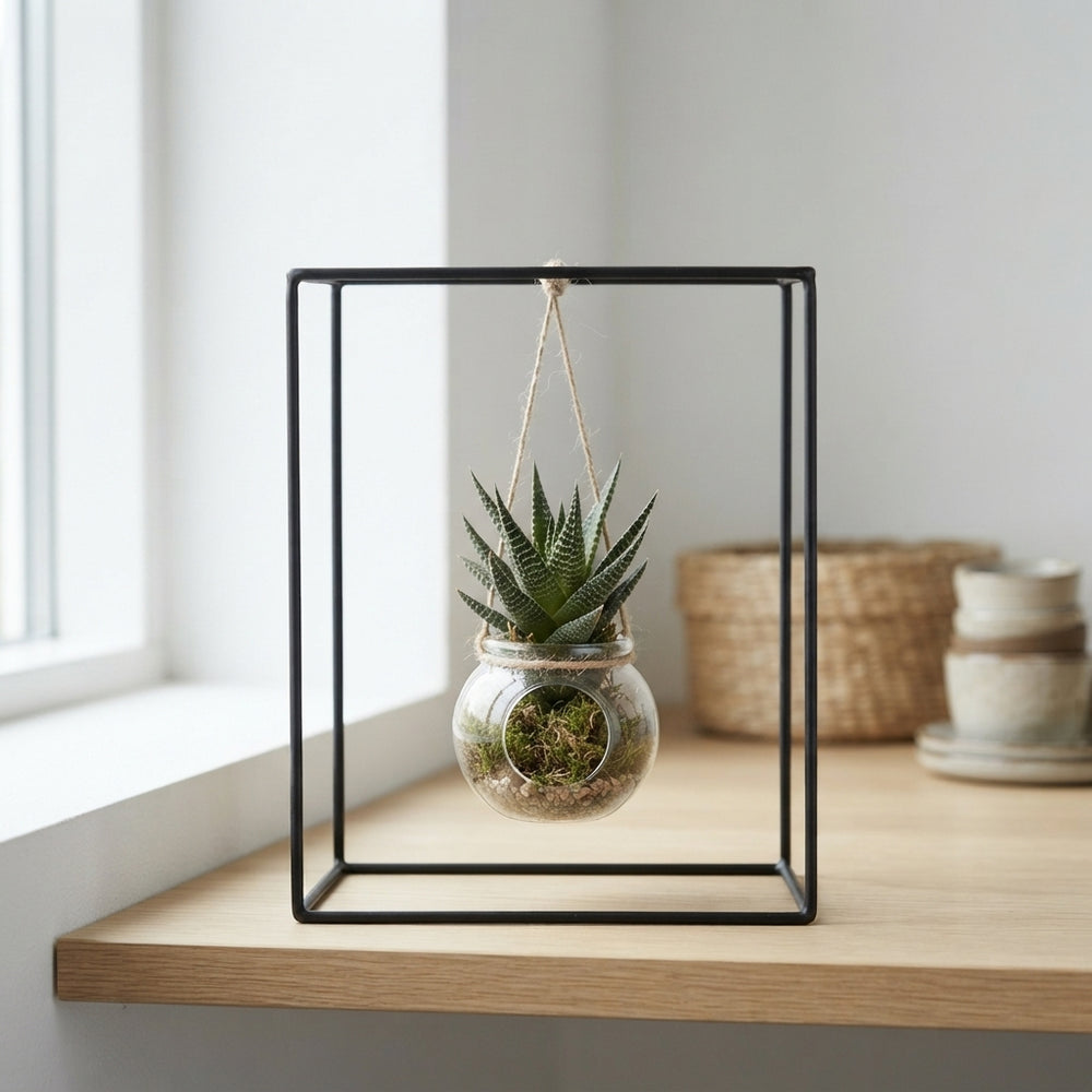 Black Metal Hanging Plant Arrangement – 20cm