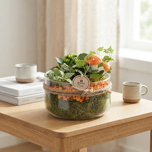 Orange and White Plant Arrangement – 18cm Glass Pot