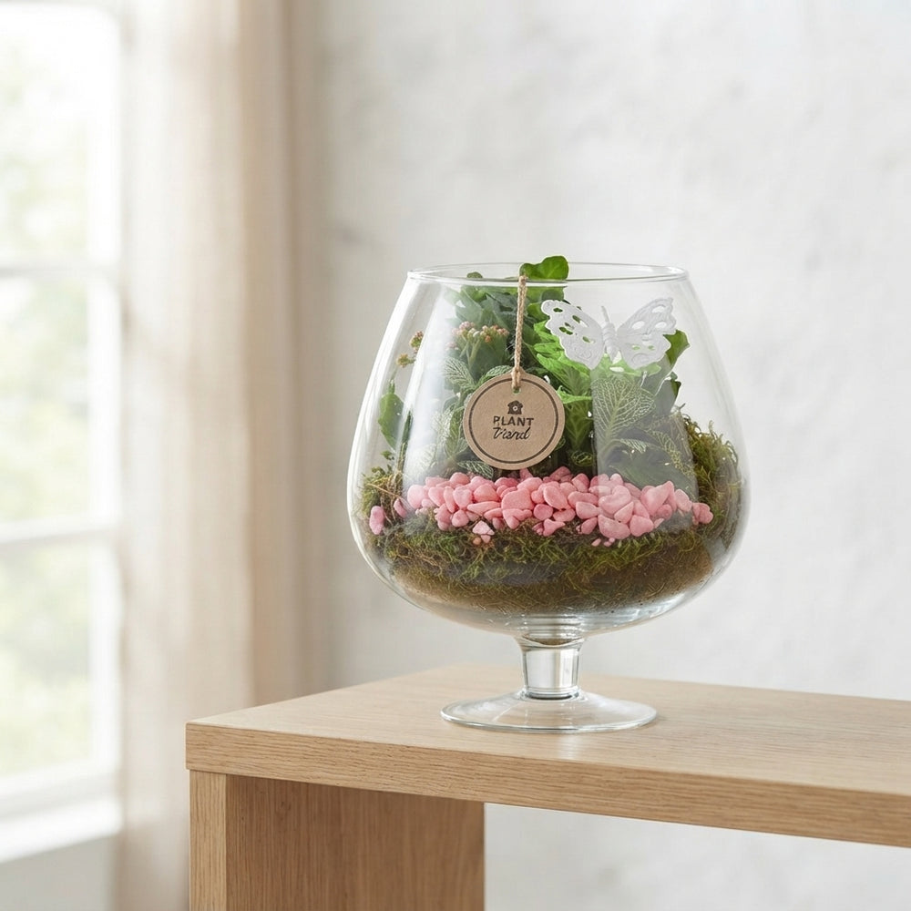 Large Pink and White Plant Arrangement in Glass – 22cm