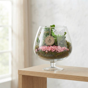 Large Pink and White Plant Arrangement in Glass – 22cm