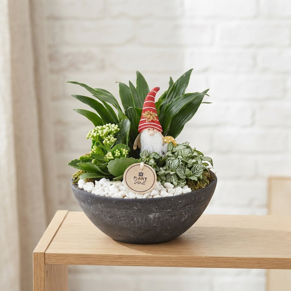 Orange and White Plant Arrangement – 22cm Ceramic Pot