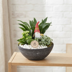 Orange and White Plant Arrangement – 22cm Ceramic Pot