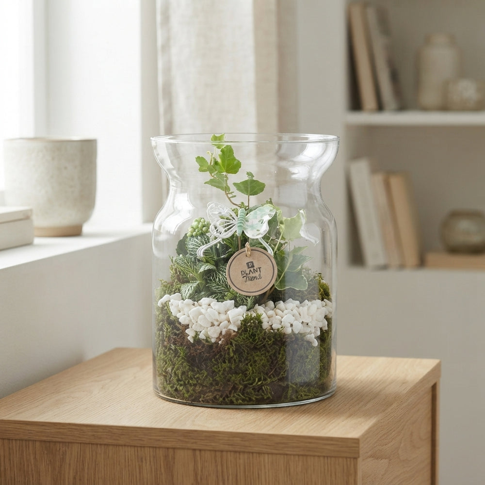 Rose and White Plant Arrangement in Glass Vase – 19cm