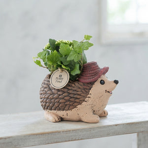 Indoor Plant Arrangement in Ceramic Hedgehog Pot – 20cm