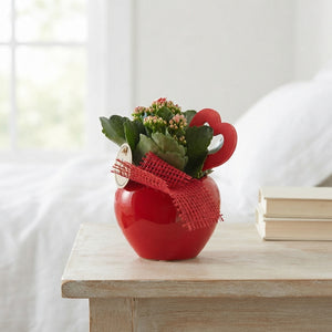 Mixed Green Plant Arrangement – 12cm Ceramic Pot