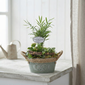 Green Mixed Arrangement in Round Zinc Pot – 19cm