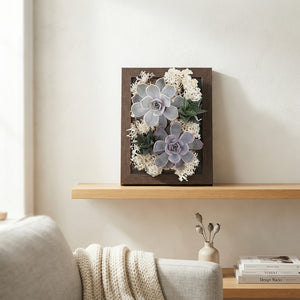 Succulent Photo Frame Arrangement – 12cm Pot