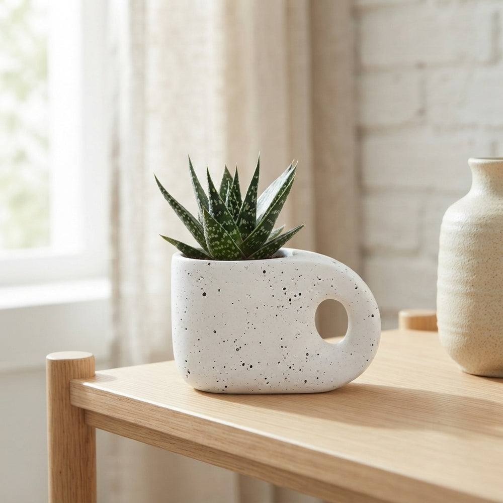 Truly Succulent Arrangement – 15cm Pebble Pot