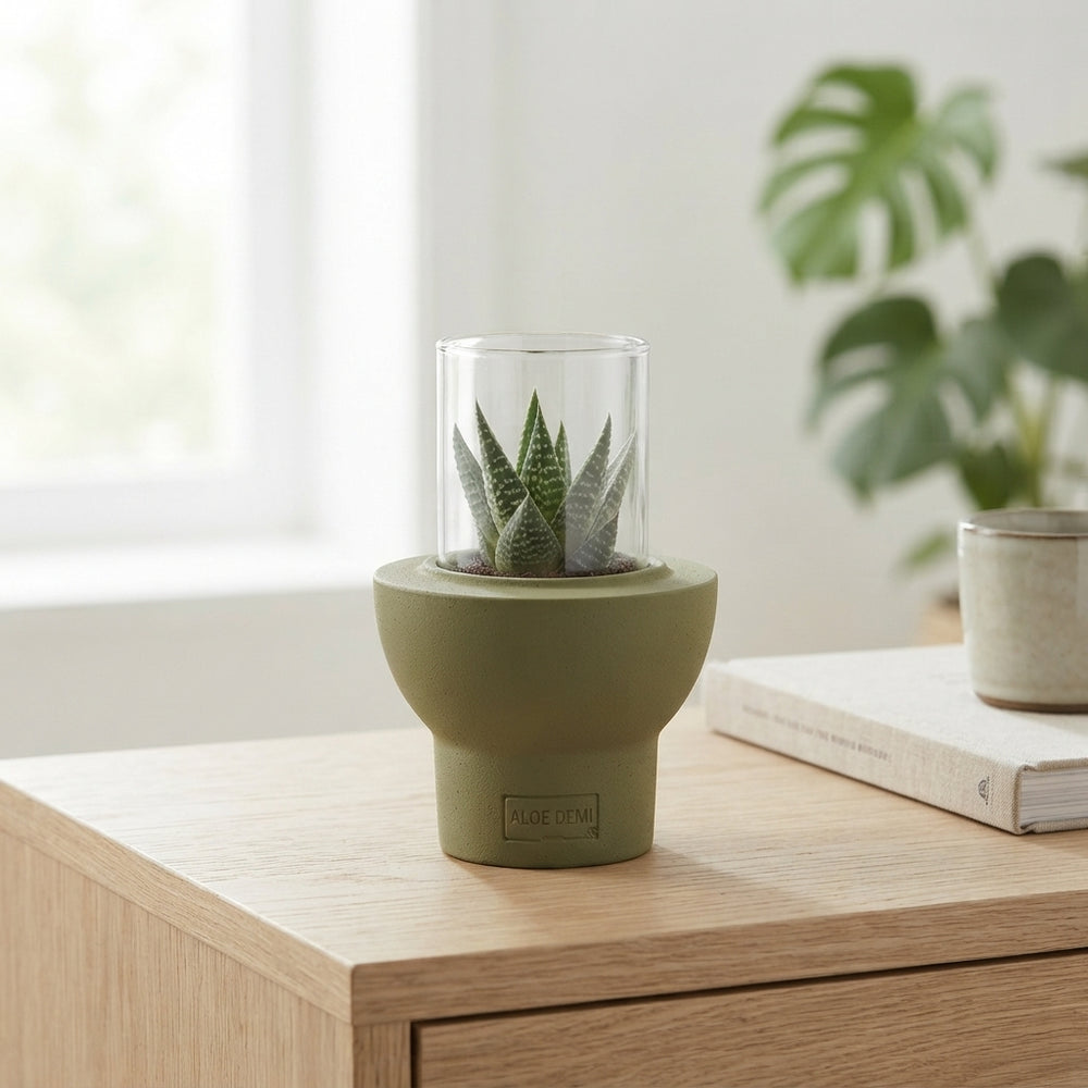 Beaver-Tail Succulent Cactus – 10cm Pot