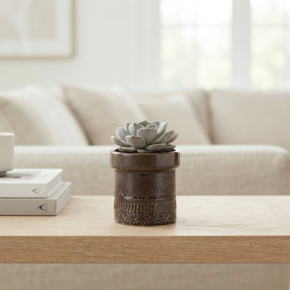 De Truly Succulent Collection – 11cm Kiva Pot