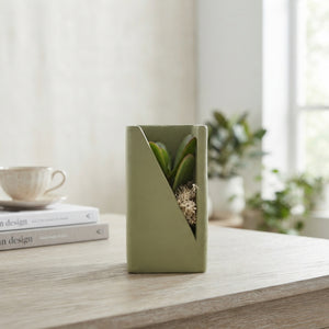 Green, Beige and Pink Succulent Arrangement – 7cm Pot