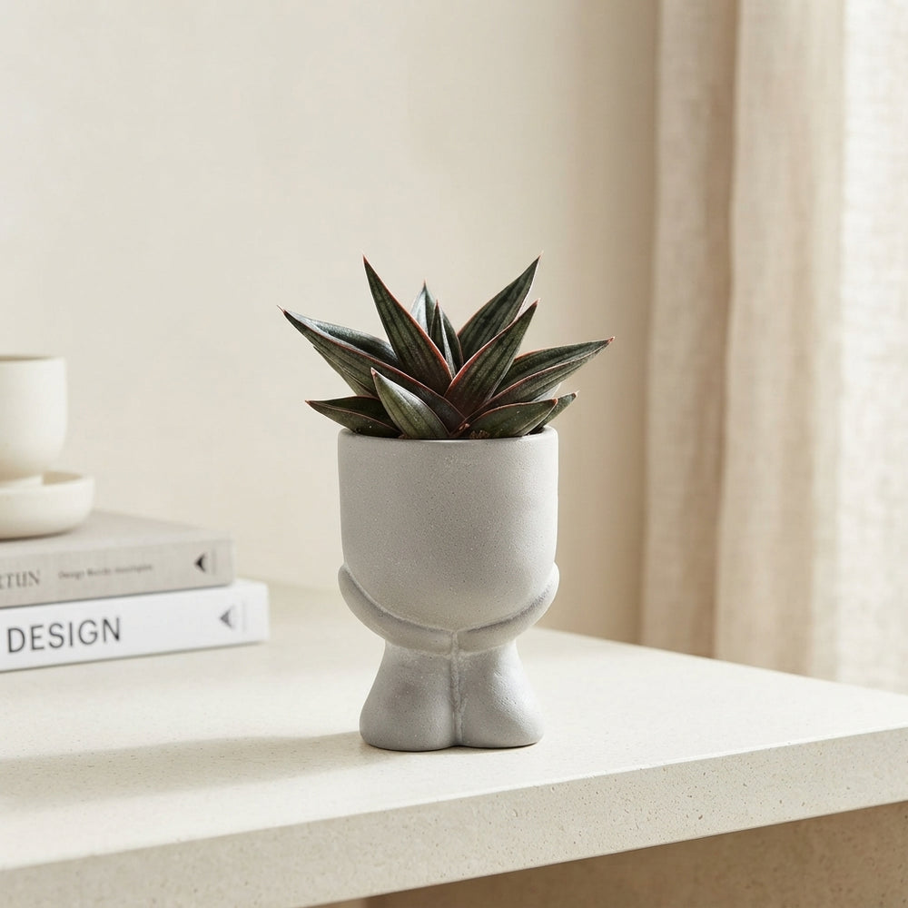 Mini Green Plant Arrangement in Grey Ceramic Pot – 14cm