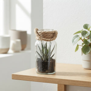 Haworthia in Glass Bottle Arrangement – 6cm