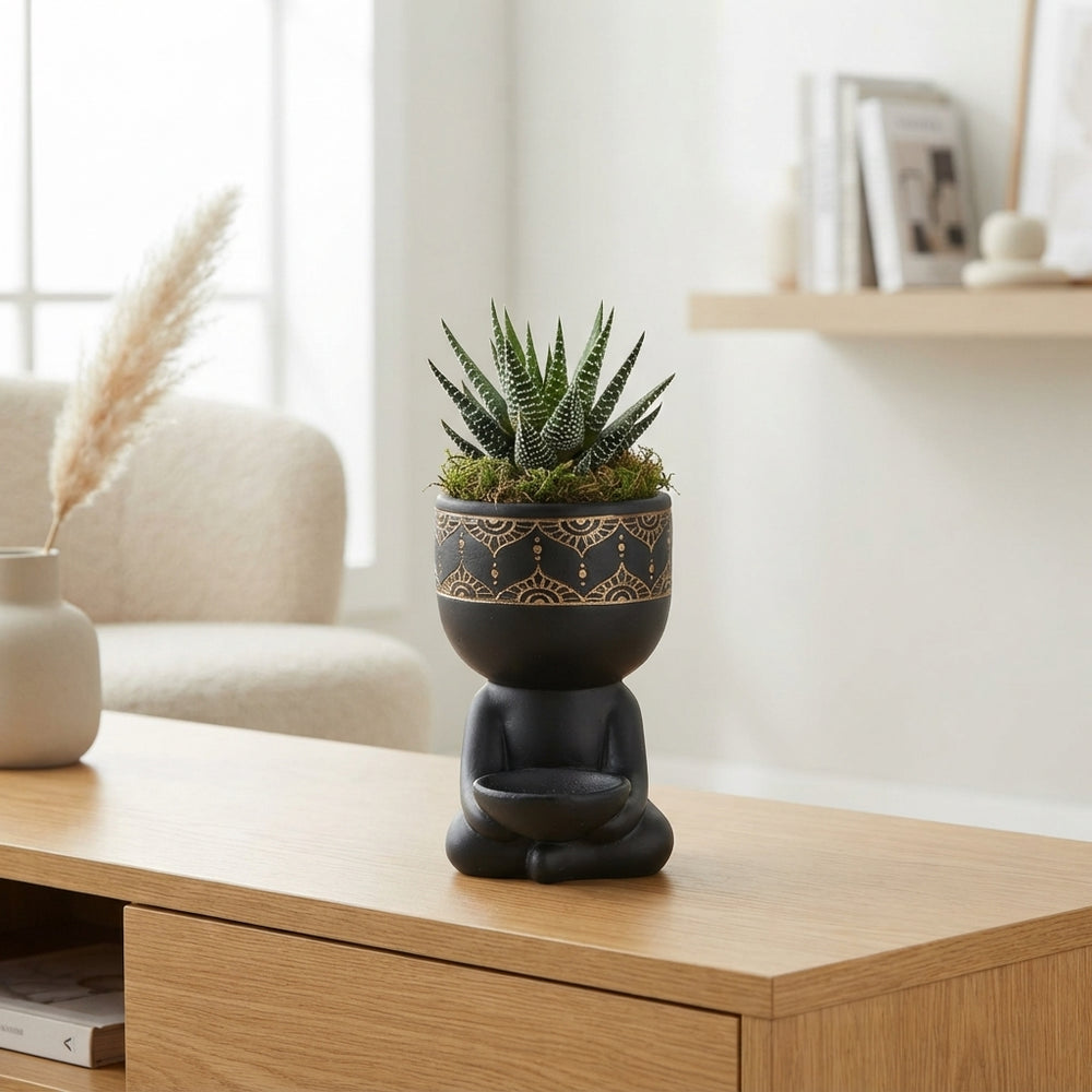 Haworthia ‘Spiritual Guy’ Arrangement – 14cm Ceramic Pot