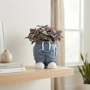 Blue Tradescantia Arrangement – 14cm Ceramic Pot