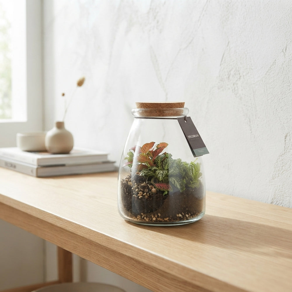 Io Terrarium Arrangement – 9cm Glass Pot