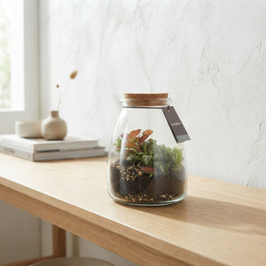 Io Terrarium Arrangement – 9cm Glass Pot