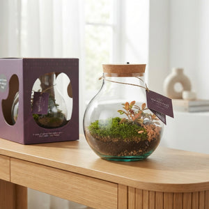 Venus Flytrap Terrarium with Rechargeable LED – 20cm