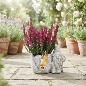 Outdoor Cement Gnome Arrangement – 18cm Dish