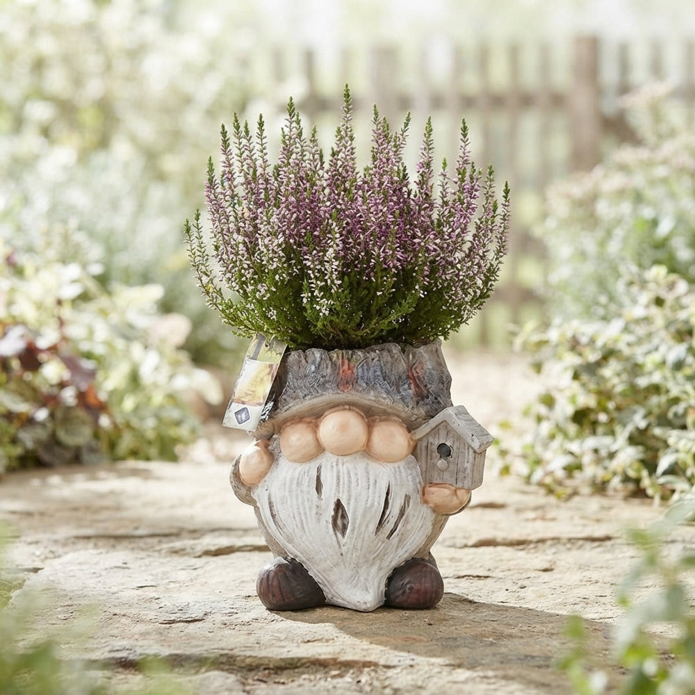 Outdoor Cement Arrangement with Woodland Gnome – 20cm Pot