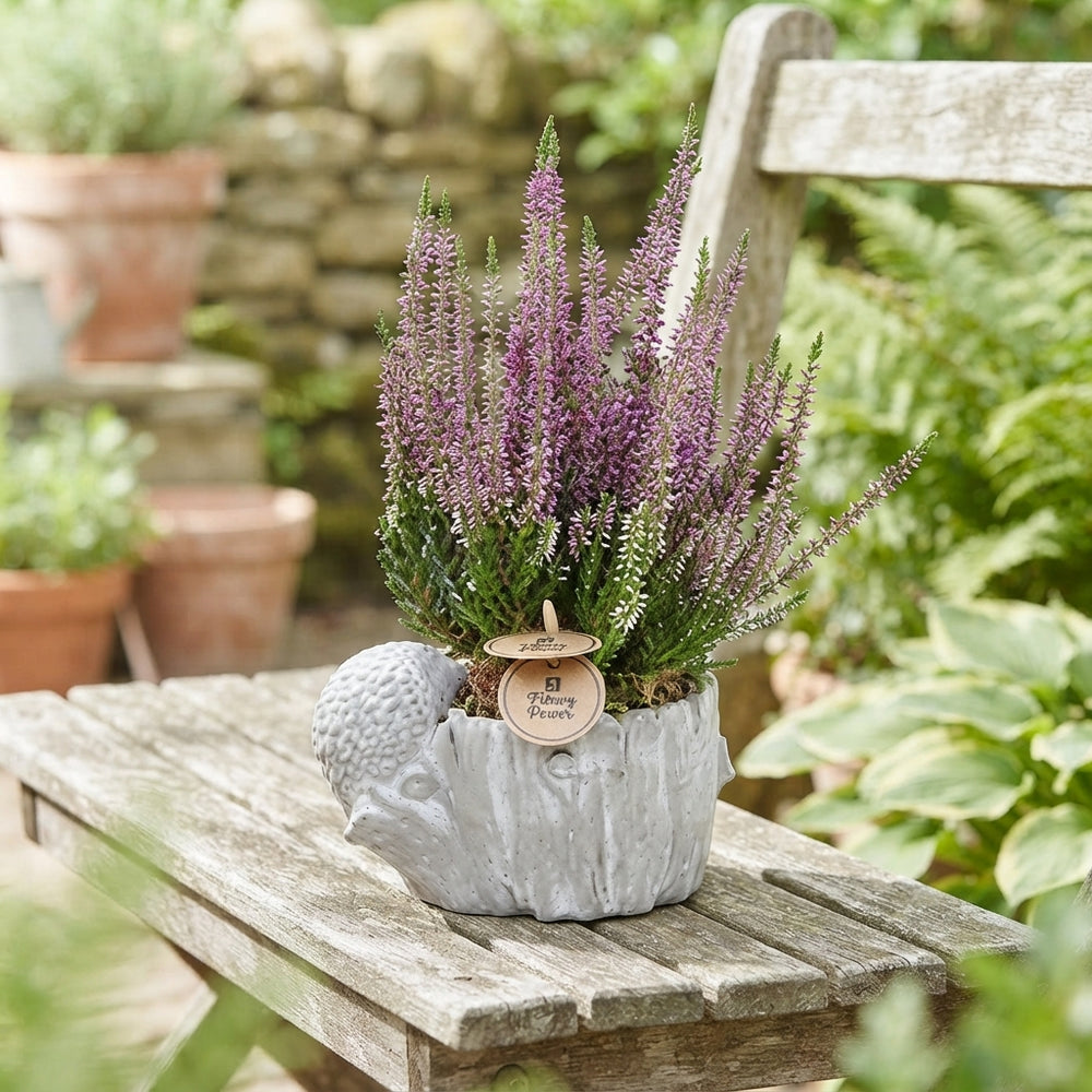 Outdoor Arrangement with Hedgehog and Bird on Tree Stump – 16cm Pot