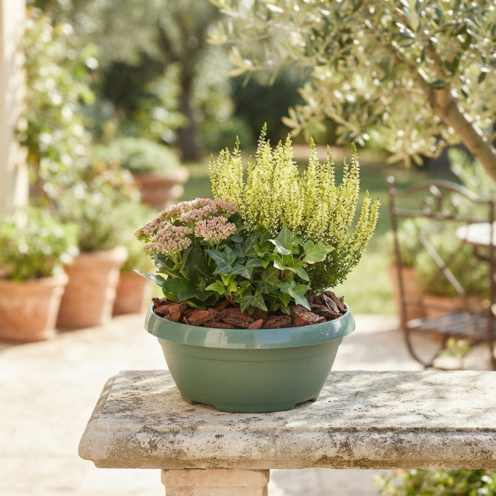 Outdoor Plant Arrangement – Classic Small, 20cm Pot