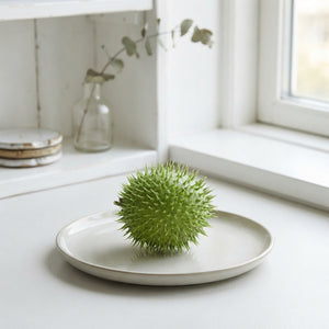 Ornamental Cucumber Fruit Decoration – Green
