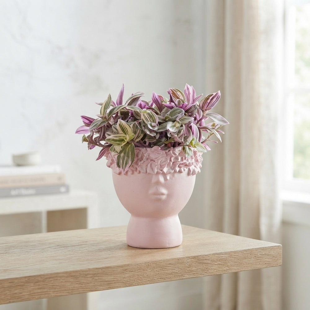 Mixed Ceramic Face Plant Arrangement – 11cm Pot