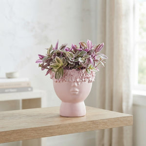 Mixed Ceramic Face Plant Arrangement – 11cm Pot