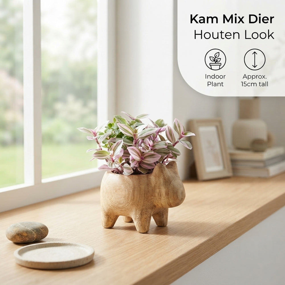 Mixed Vegetable Plants – 10cm Pot
