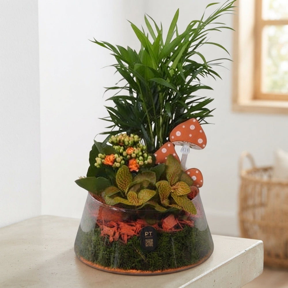 Autumn Glass Plant Arrangement – 18cm Bowl