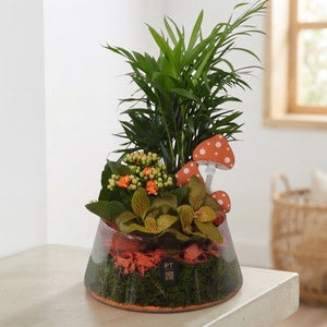 Autumn Glass Plant Arrangement – 18cm Bowl