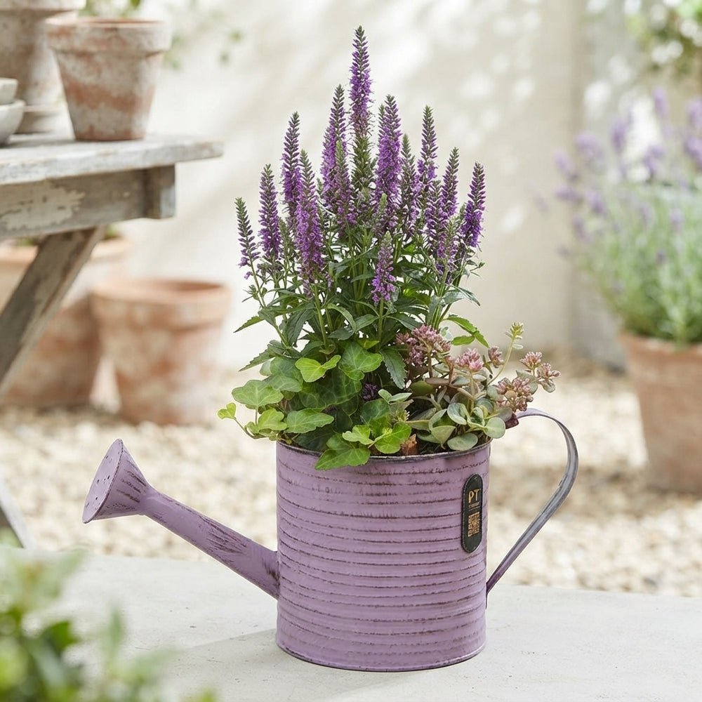 Autumn Outdoor Plant Arrangement in Metal Watering Can – 34cm