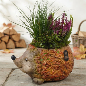 Autumn Outdoor Plant Arrangement – 31cm Ceramic Pot
