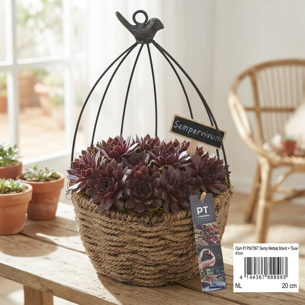 Decorative Plant Arrangement with Rope Basket – 20cm Pot