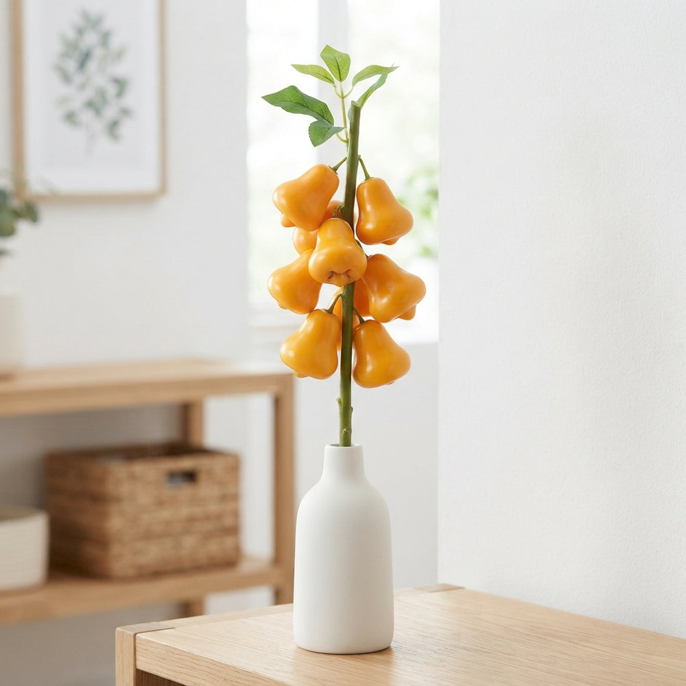 Baby Ornamental Fruit Plant – 3 Fruits