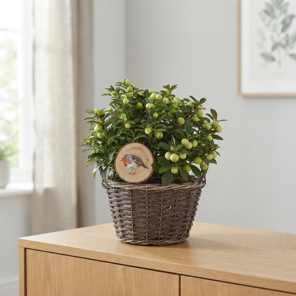 Mixed Colour Floral Arrangement – 3 Stems