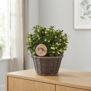 Mixed Colour Floral Arrangement – 3 Stems