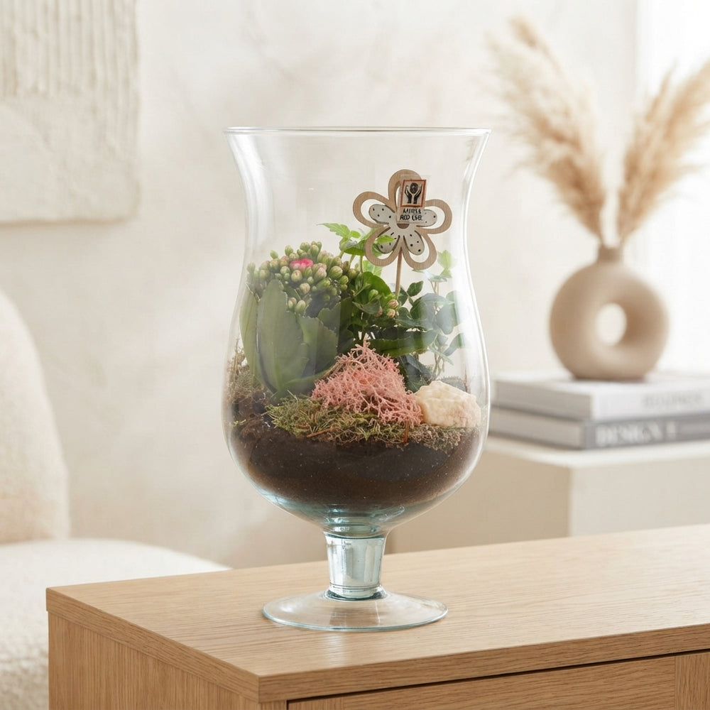 Indoor Plant Arrangement in Glass Brandy Pot – 17cm