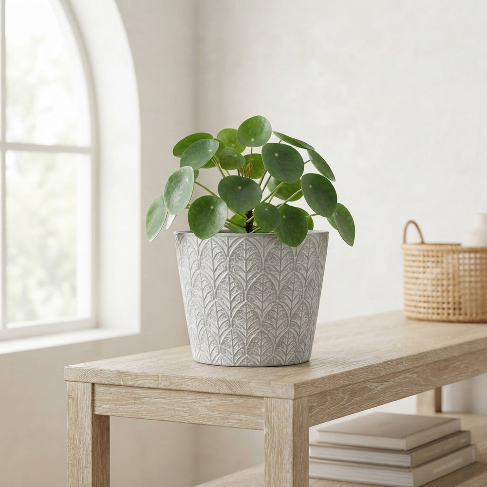 Decorative Zinc Plant Pot