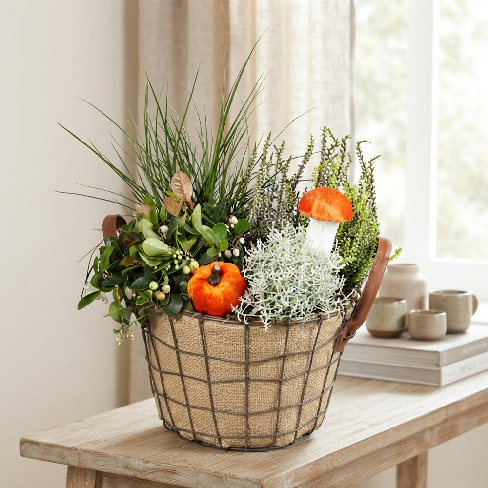 Ornamental Indoor Plant Arrangement – 24cm Pot