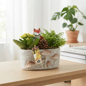 Oval Concrete Mushroom Plant Arrangement – 20cm