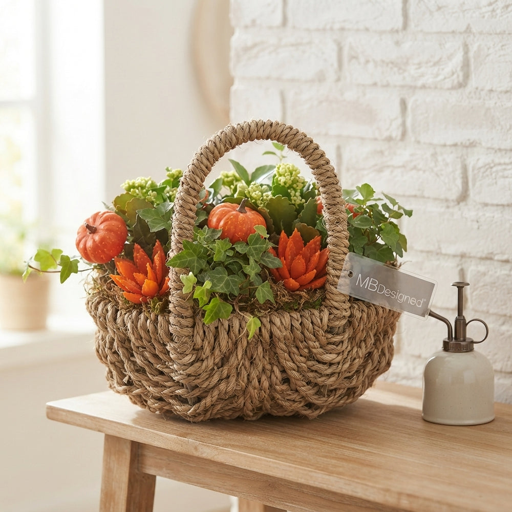 Orange Indoor Plant Arrangement in Rope Hanging Basket – 24cm