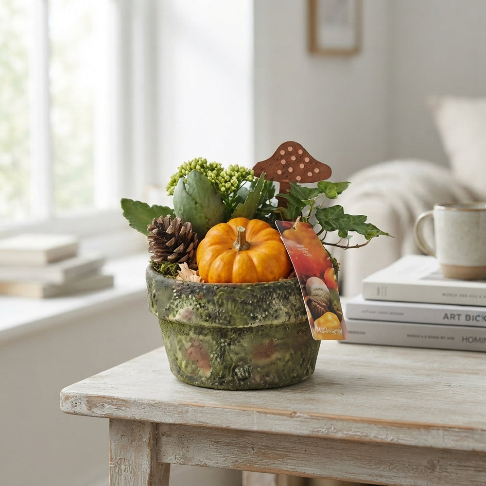 Orange Ceramic Plant Arrangement – 17cm Pot