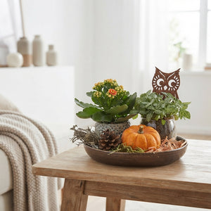 Autumn Plant Arrangement on Ceramic Tray – 20cm