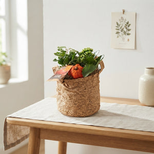 Orange Indoor Plant Arrangement – 18cm Pot