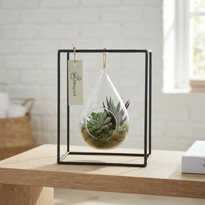 Black Metal Hanging Plant Arrangement – 20cm