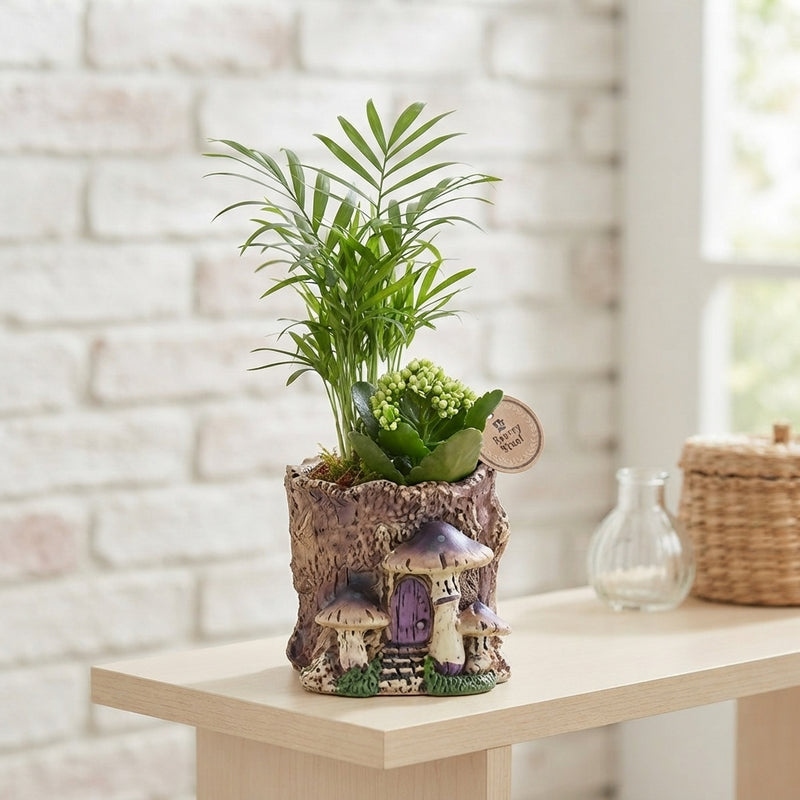 Indoor Arrangement with Tree-Stem Plants – 15cm Ceramic Pot